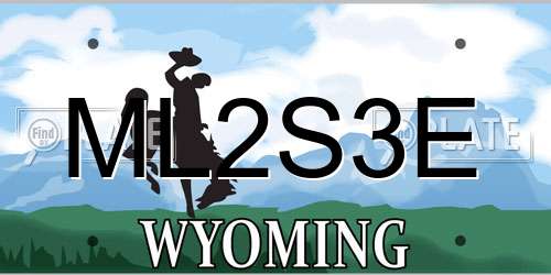 ML2S3E Wyoming License Plate