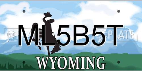 ML5B5T Wyoming License Plate