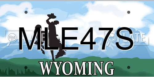 MLE47S Wyoming License Plate