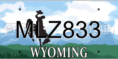 MLZ833 Wyoming License Plate