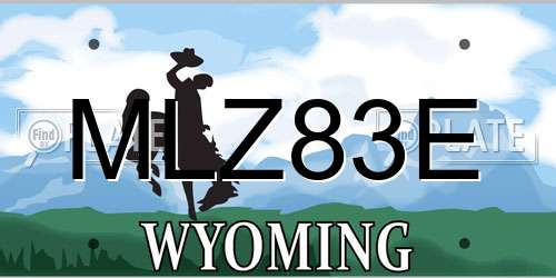 MLZ83E Wyoming License Plate
