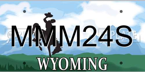 MMM24S Wyoming License Plate