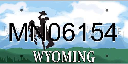 MN06154 Wyoming License Plate