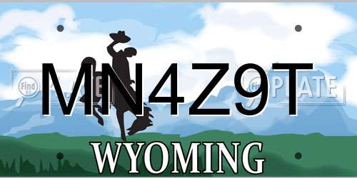 MN4Z9T Wyoming License Plate