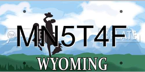 MN5T4F Wyoming License Plate