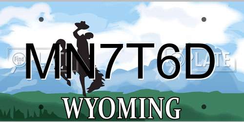 MN7T6D Wyoming License Plate