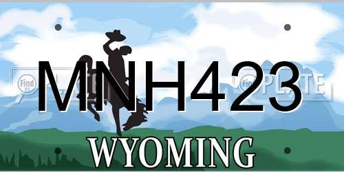 MNH423 Wyoming License Plate