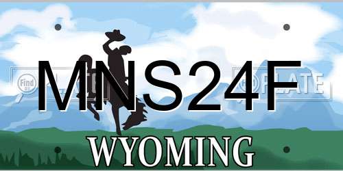 MNS24F Wyoming License Plate
