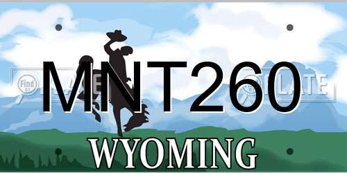 MNT260 Wyoming License Plate