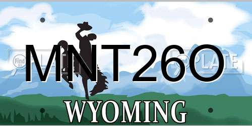 MNT26O Wyoming License Plate