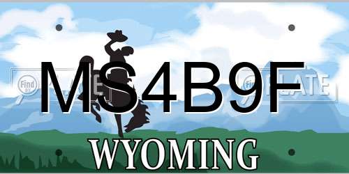 MS4B9F Wyoming License Plate