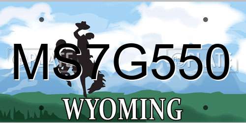 MS7G550 Wyoming License Plate