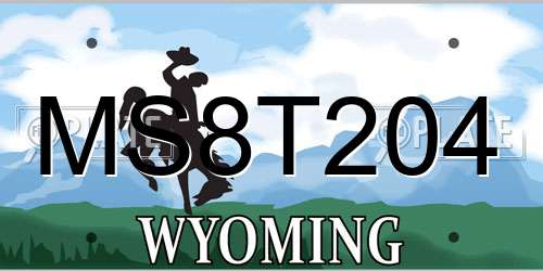 MS8T204 Wyoming License Plate