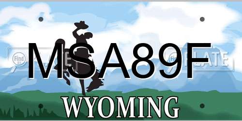 MSA89F Wyoming License Plate