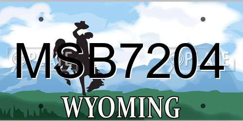 MSB7204 Wyoming License Plate