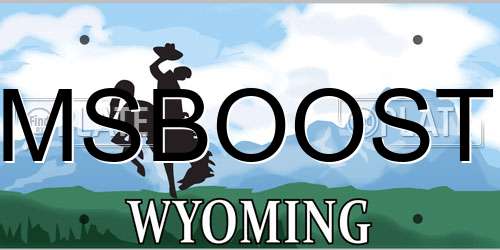 MSBOOST Wyoming License Plate