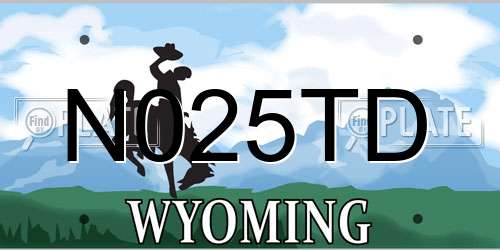 N025TD Wyoming License Plate