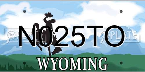 N025TO Wyoming License Plate