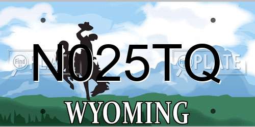 N025TQ Wyoming License Plate