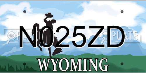 N025ZD Wyoming License Plate