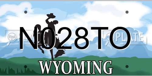N028TO Wyoming License Plate