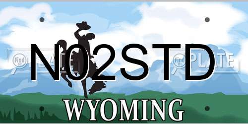 N02STD Wyoming License Plate
