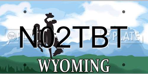 N02TBT Wyoming License Plate