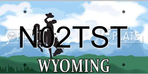 N02TST Wyoming License Plate