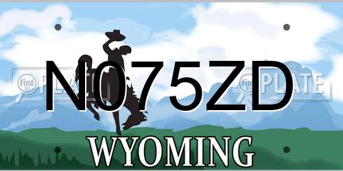 N075ZD Wyoming License Plate