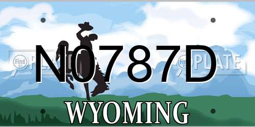 N0787D Wyoming License Plate