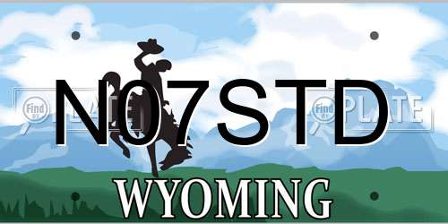 N07STD Wyoming License Plate