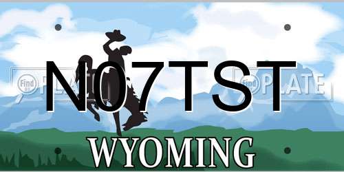 N07TST Wyoming License Plate