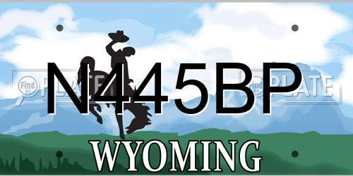 N445BP Wyoming License Plate