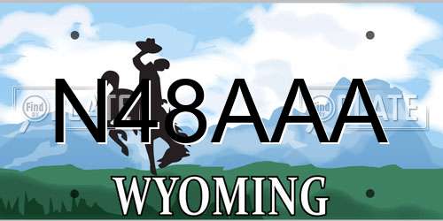 N48AAA Wyoming License Plate