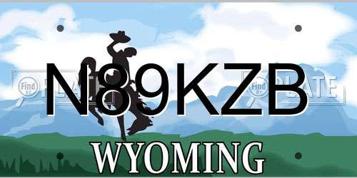 N89KZB Wyoming License Plate