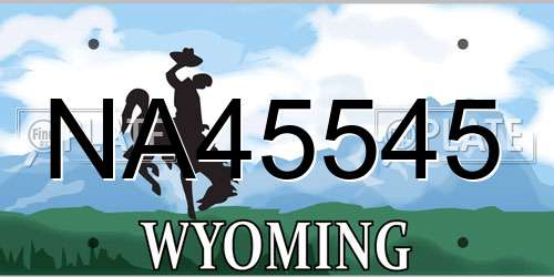 NA45545 Wyoming License Plate