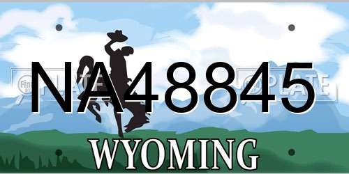 NA48845 Wyoming License Plate