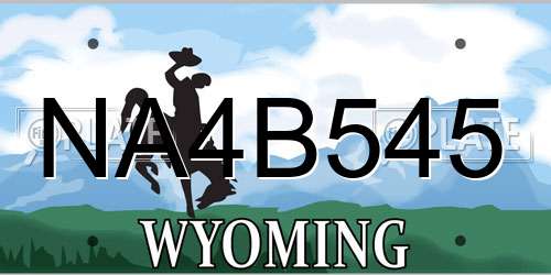 NA4B545 Wyoming License Plate