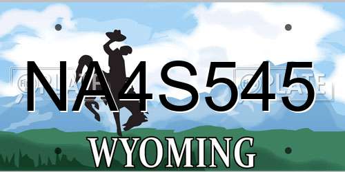 NA4S545 Wyoming License Plate