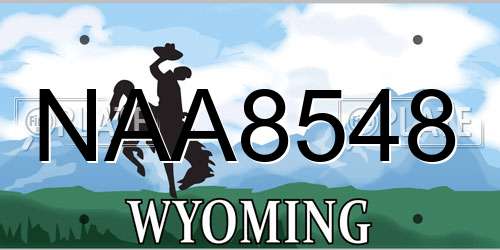 NAA8548 Wyoming License Plate