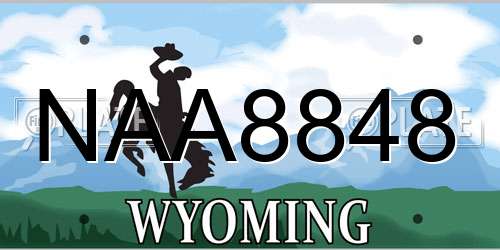 NAA8848 Wyoming License Plate