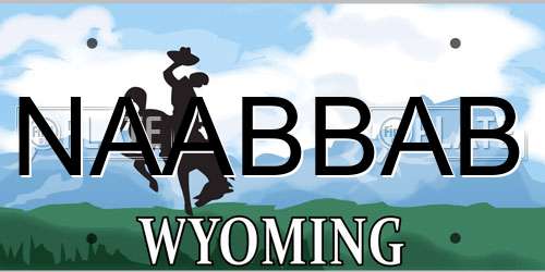 NAABBAB Wyoming License Plate