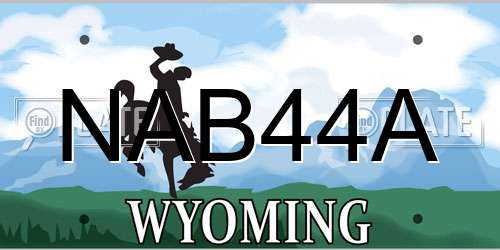 NAB44A Wyoming License Plate