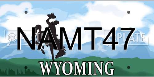 NAMT47 Wyoming License Plate