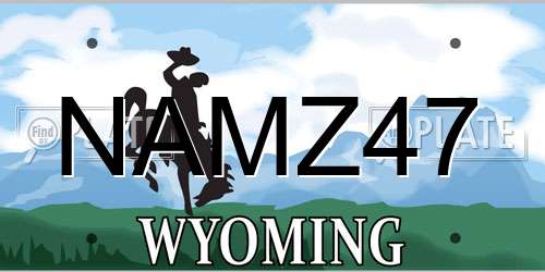 NAMZ47 Wyoming License Plate