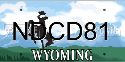 NDCD81 Wyoming License Plate
