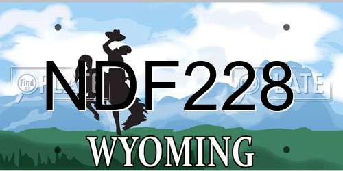 NDF228 Wyoming License Plate