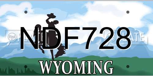 NDF728 Wyoming License Plate