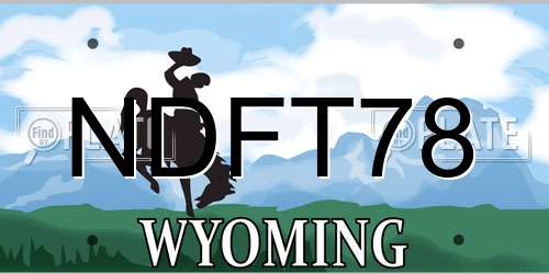 NDFT78 Wyoming License Plate