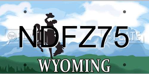 NDFZ75 Wyoming License Plate
